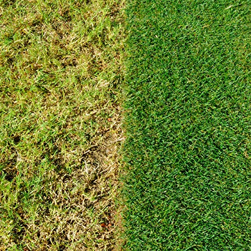 Miracle-Gro EverGreen Complete 4-in-1 Lawn Food Weed & Moss Control 80m²