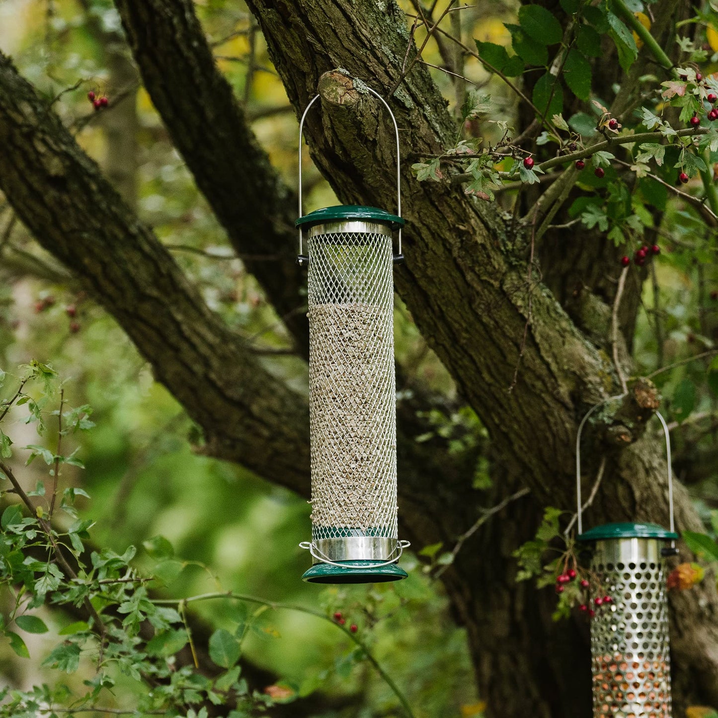 Peckish Large Metal All Weather Nyger Seed Bird Feeder