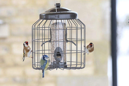 Gardman Heavy Duty Squirrel Proof Bird Seed Feeder Multicolour 12.75kg