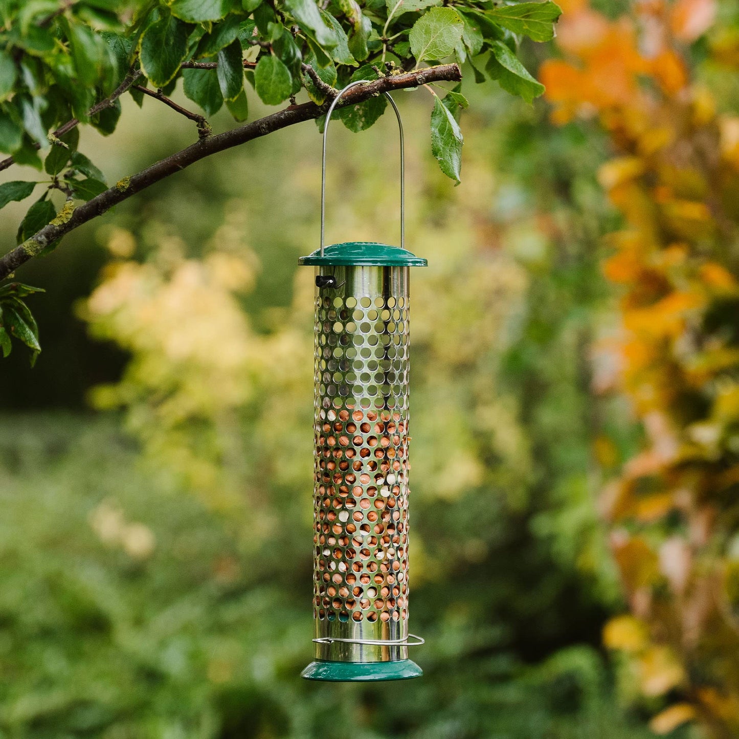 Peckish Large Metal All Weather Nyger Seed Bird Feeder