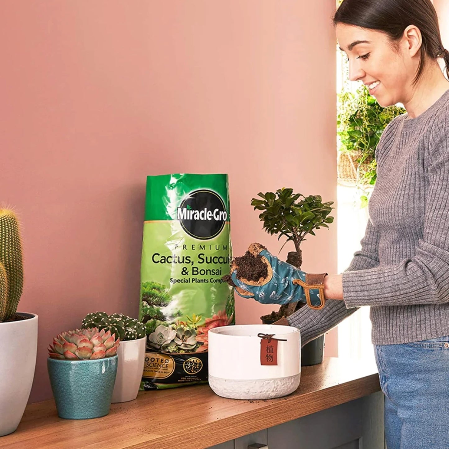 Cactus Succulent Plants Growing Bundle - Peat Free Cacti Bonsai Potting Compost 10L & Cactus Plant Feed Liquid Concentrated Fertiliser 175ml Houseplant Food Compost for Indoor Plants with Topline Card