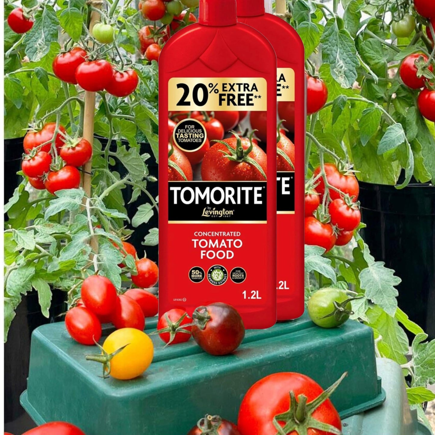 Tomato Plant Food Growing Fertilizer - Bundle of 2 x 1.2L Tomato Feed Concentrated Liquid Enriched Seaweed Fertiliser & 800ml Bug Clear Controller for Fruit and Vegetable Plants with Topline Card