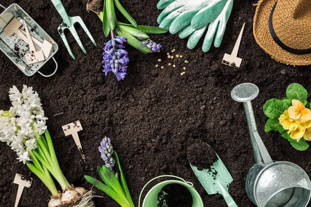 Westland Multi-Purpose Garden Compost - Peat Free Multi Purpose Compost with John Innes 2 x 10L Garden Soil Bags for Indoor & Outdoor House Plants, Vegetable Growing. Comes with Topline Card.