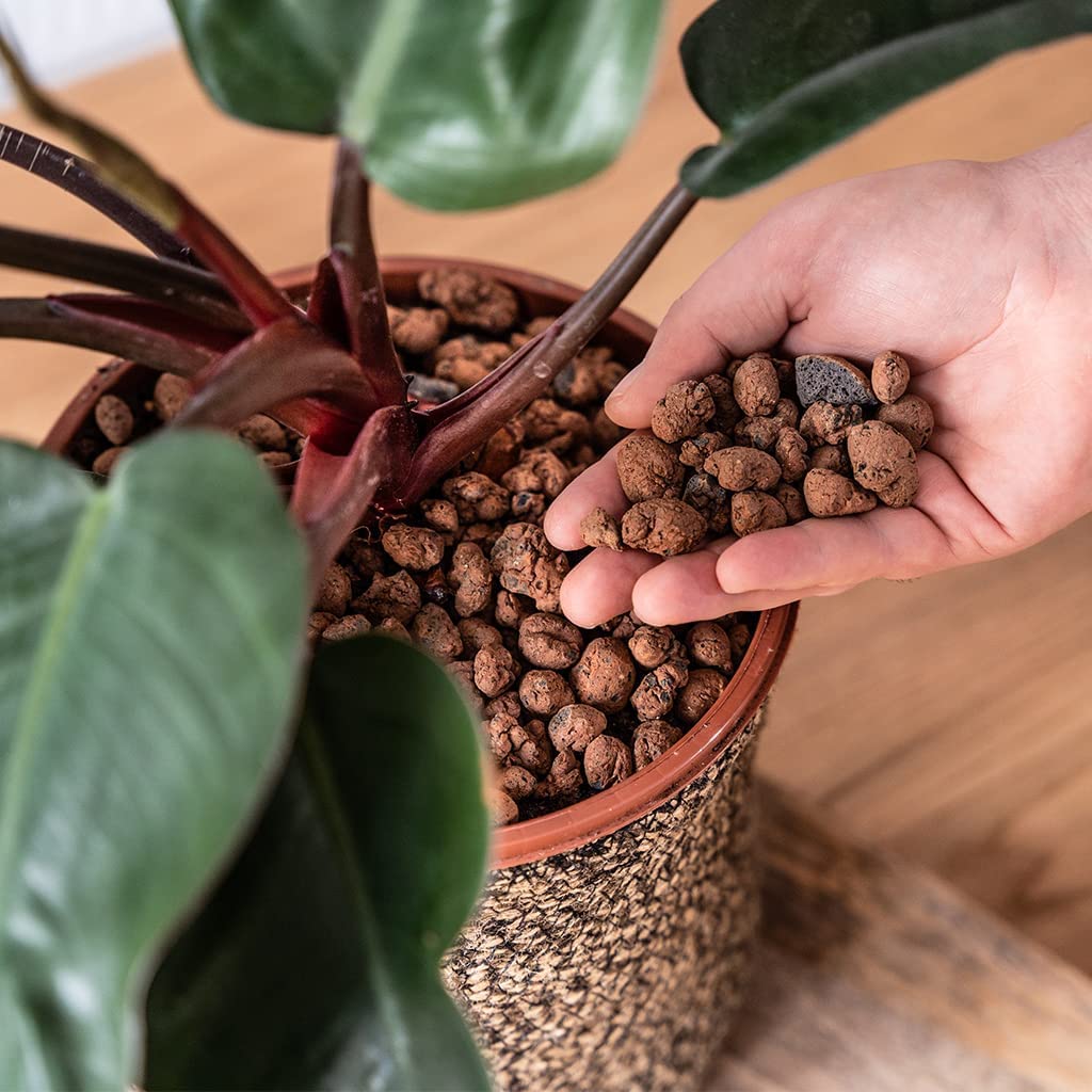 Topline Garden Hydroleca Clay Granules Bundle - Pack of 2 Lightweight Hydroleca Ceramic Clay Pebbles 10L Bags Card. Potting Mix for House Plants, Orchids, Cactus and more..