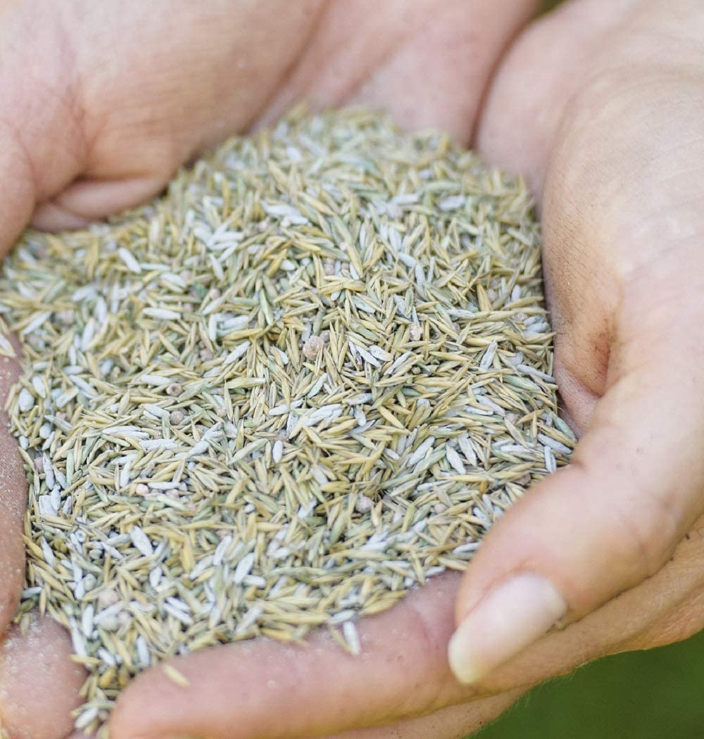 Garden Grass Lawn Seeds - 1kg Aqua Gel Coated Smart Lawn Grass Seeds 25msq. Fast to Grow Lawn Care with Topline Card for Patch Repairs, Suny or Shady Lawn.