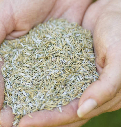 Garden Grass Lawn Seeds - 1kg Aqua Gel Coated Smart Lawn Grass Seeds 25msq. Fast to Grow Lawn Care with Topline Card for Patch Repairs, Suny or Shady Lawn.