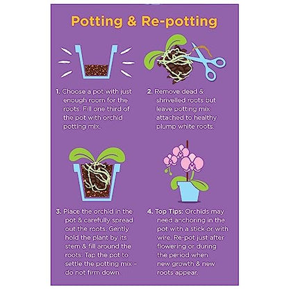 Westland Orchid Potting Mix 8L
