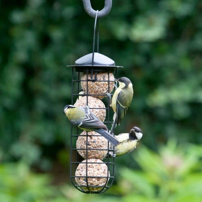 Bucktons High Energy Fat Balls - Box of 150 x 90g Boost Natural Suet Food for Wild Garden Birds. Great for Ground Feeder, Bird Tables. Comes with Topline Card.