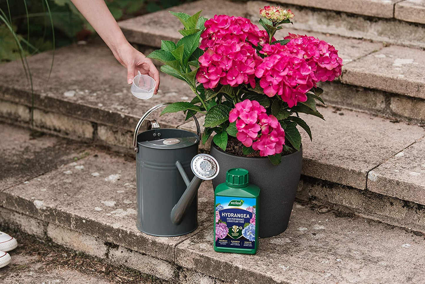 Westland Hydrangea Plant Feed Bundle - 1L High-Performance Hydrangea Liquid Plant Food & 500g Hydrangea Colourant. Garden Fertilisers for Outdoor Plants with Topline Card.