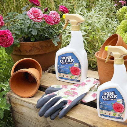 Rose Clear Bug Spray Killer 800ml Pack of 2