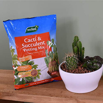 Westland Houseplant Potting Compost