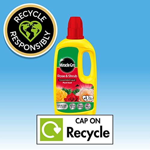 Miracle-Gro Rose & Shrub Concentrated Liquid Plant Food 800ml