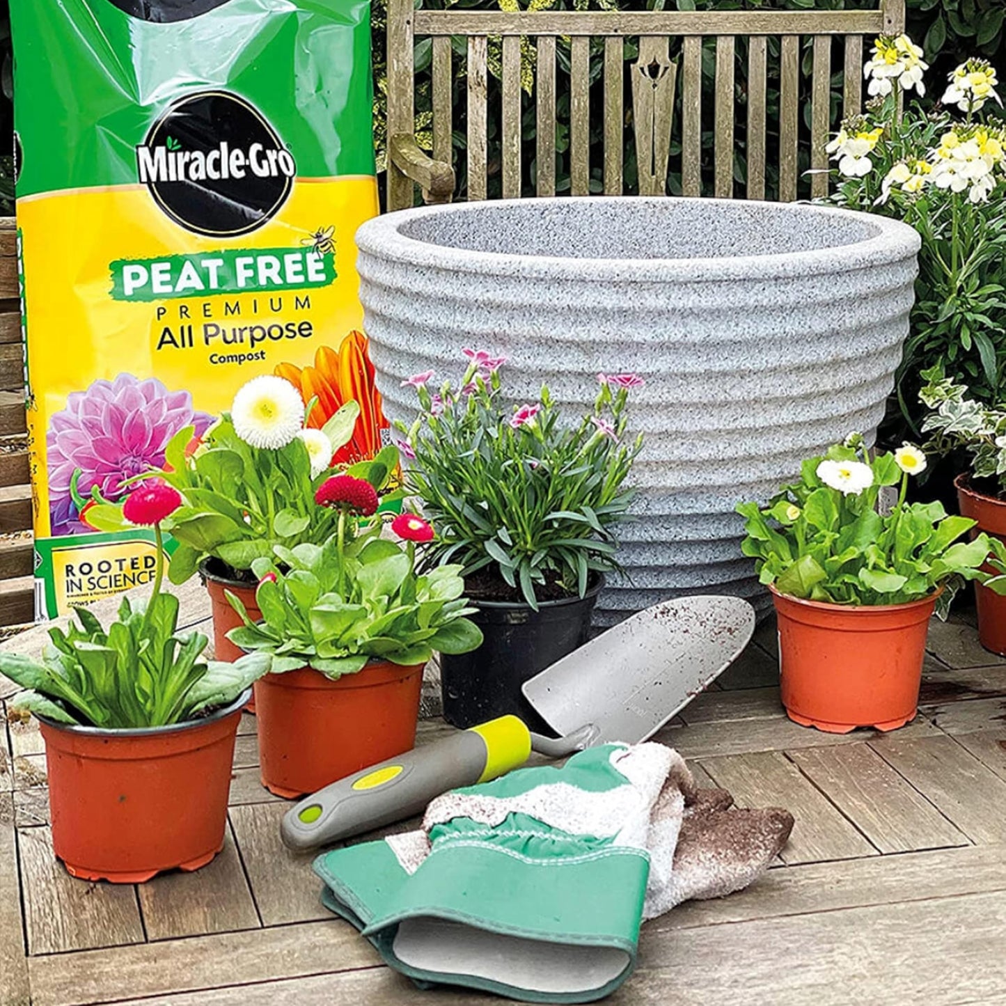 Miracle Grow All Purpose Compost - 2 x 10L Multi Purpose Compost with Topline Card. Garden Compost for Outdoor Plants, Indoor House Plants, Vegetables