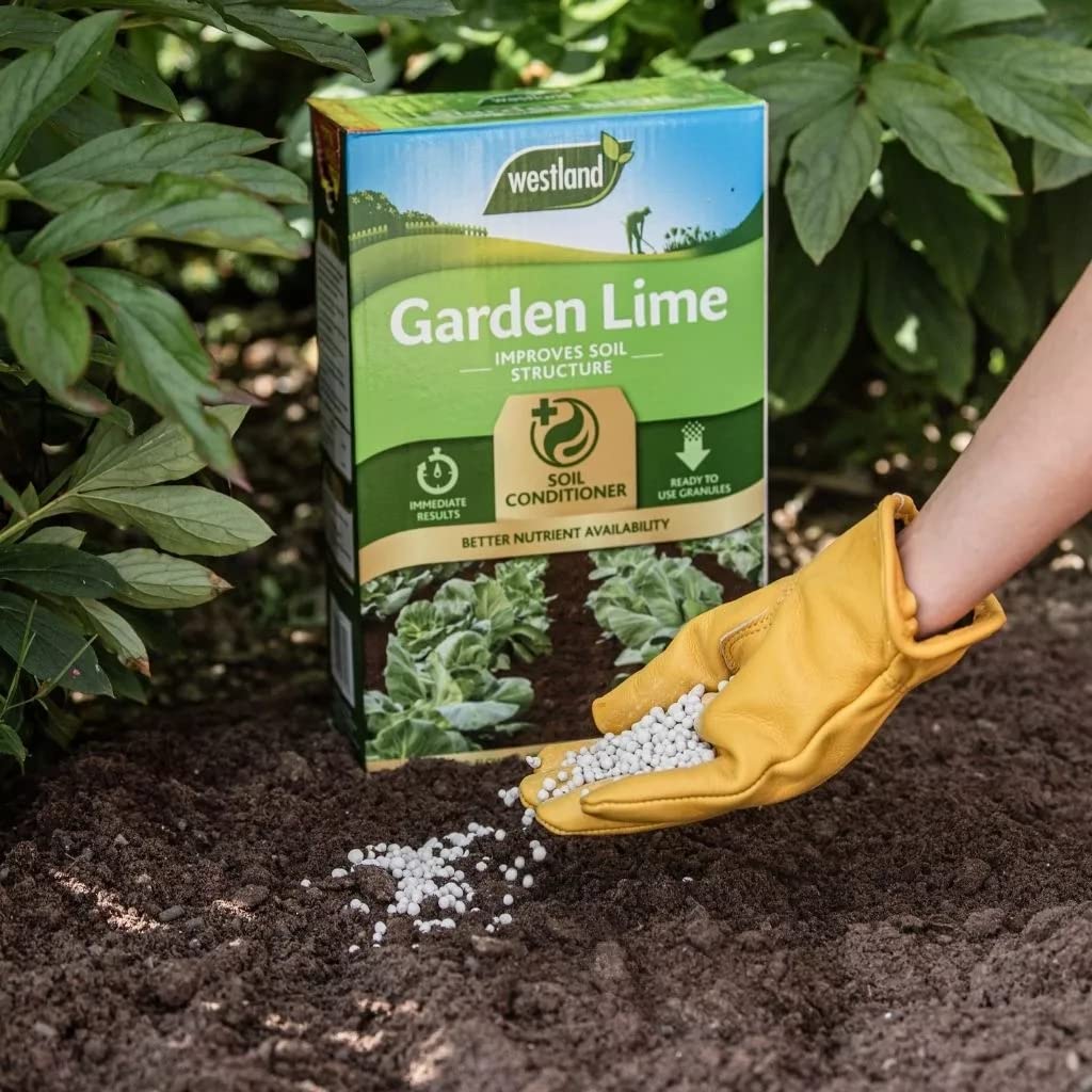 Garden Plant Food Fertiliser Bundle - 4kg Garden Lime Soil Conditioner & 1.5kg Epsom Salt Green Foliage Fertilizer for Growing Healthy and Stronger Garden Plants with Topline Card.