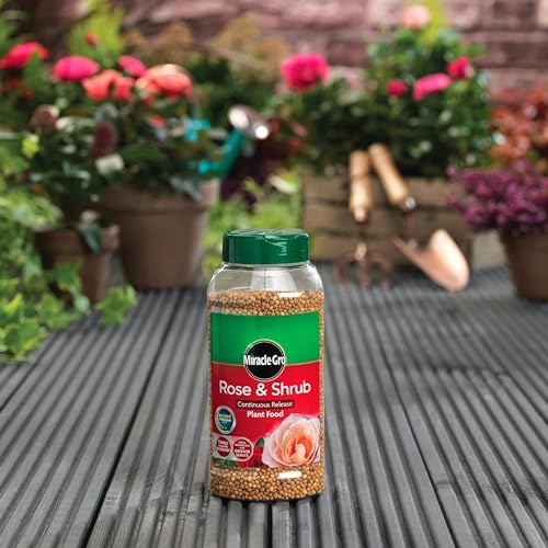 Miracle Grow Rose Feed Fertiliser - Bundle of Rose & Shrub 900g Continuous Release Plant Feed Granules & 800ml Concentrated Liquid Plant Food. Garden Plants Fertilizer for Roses with Topline Card