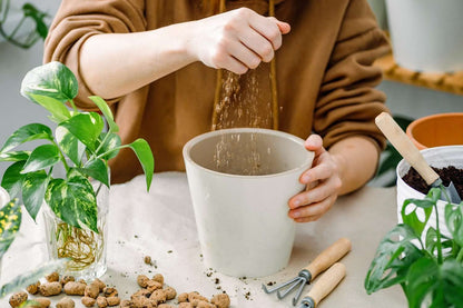 Topline Gro-Sure Perlite & Vermiculite Bundle - Horticultural Perlite Granules 10L & Vermiculite Flakes 10L Garden Compost Potting Mix for Vegetables, House Plants Thank You Card.