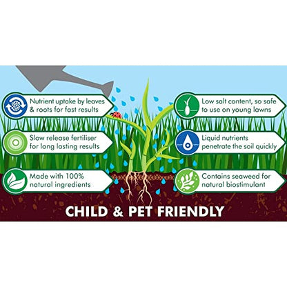 Garden Child & Pet Friendly Safelawn - Pack of 2 x 150msq Natural All In One Safe Lawn Feed Grass Seeds with Topline Card. Lawn Food is Super Durable & Fast to Grow!