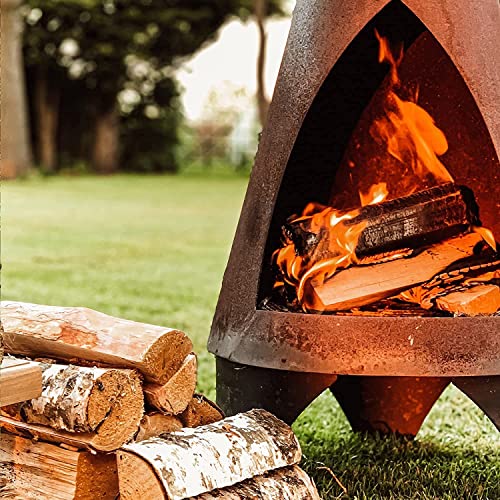 Topline Pack of 4 Big K Barbeque Firelighter Odourless Fluid - BBQs, Firepits - Indoor Fires & Log Burners - Camping Grill - Bonfire - 1000ml with Unique Card.