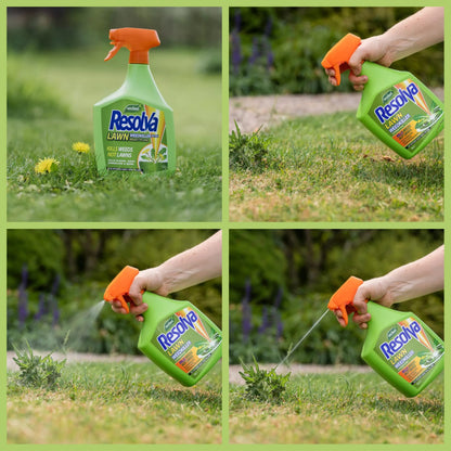 Garden Resolva Weed Killers Bundle - Path and Drive 1L Weedkiller Sprayer & Lawn Weed Killer Extra Strong 1L Ready-to-Use Garden Sprayer for Dandelions, Weed Remover with Topline Card.