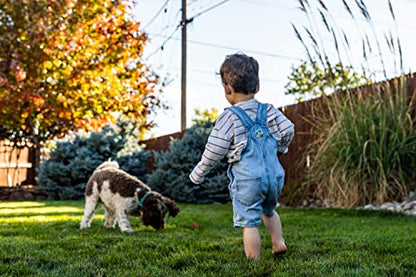 Garden Child & Pet Friendly Safelawn - Pack of 2 x 150msq Natural All In One Safe Lawn Feed Grass Seeds with Topline Card. Lawn Food is Super Durable & Fast to Grow!