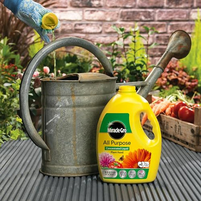 Miracle-Gro All Purpose Concentrated Liquid Plant Food