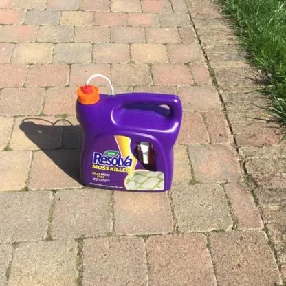 TOPLINE Westland Resolva Moss Killer Sprayer - 3L Ready to Use Resolva Moss Killer Spray with Topline Card. Outdoor Garden Moss Remover for Driveways, Paths, Roofs or Patio., Purple